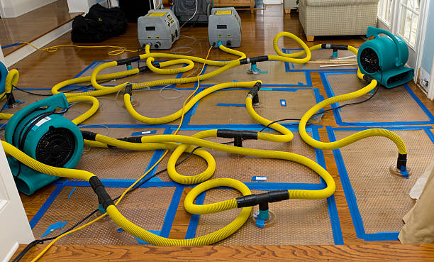 Professional Flood Damage Restoration technician working in Lowell, WI